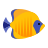 Poisson
